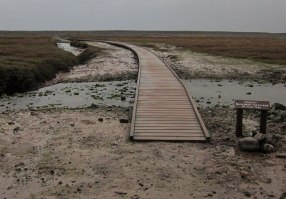 porlock marsh boardwalk