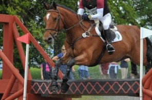 treborough hill horse trials